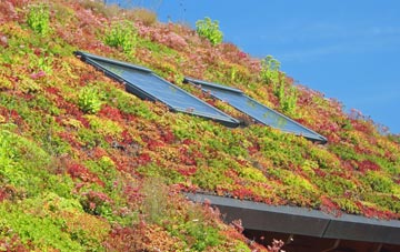 East Garforth living roof systems